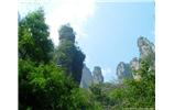 【純玩拼團(tuán)線路 張家界出發(fā)A2線】張家界、袁家界、天子山、金鞭溪、鳳凰古城2晚3日游